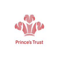 Read more about the article DDCAP Group™ Supports The Prince’s Trust Young People Relief Fund