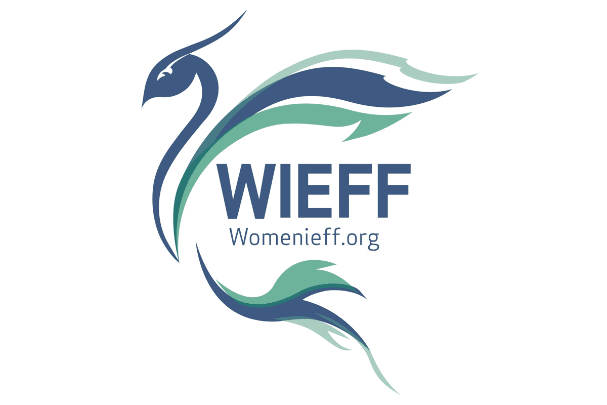 Read more about the article WIEFF Webinar – FinTech and the Global Financial Crisis: What does the Future Hold? – 21st April 2020